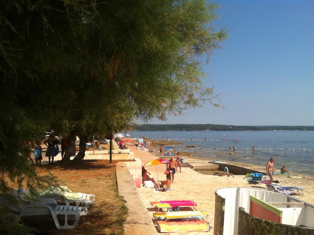 Apartment Sincic Novigrad  Екстер'єр фото