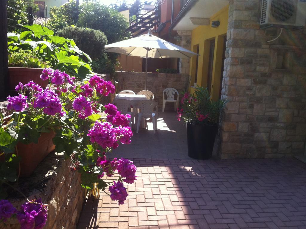 Apartment Sincic Novigrad  Екстер'єр фото